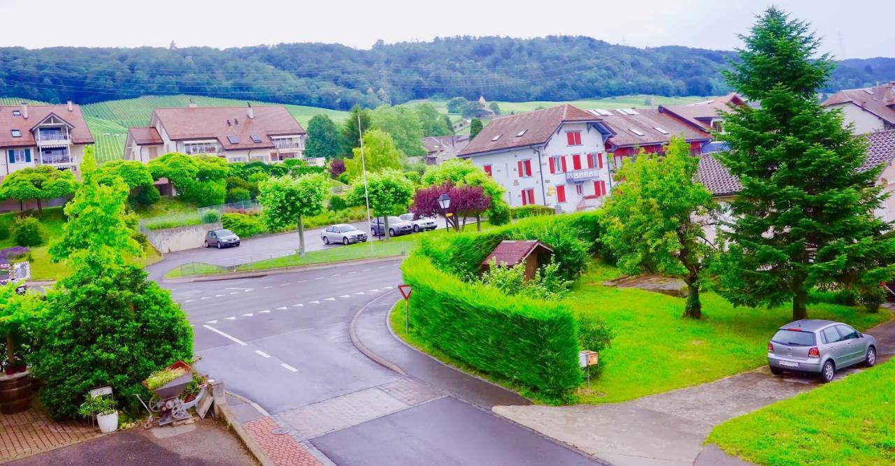 Bed & Breakfast Cave Du Treyblanc Luins